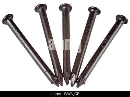 Closeup of five nails, with low depth of field, focus on the tips, isolated. Stock Photo
