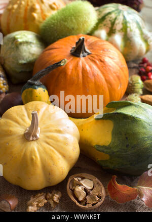 Pumpkins, nuts,  leaves and berries on a burlap background Stock Photo
