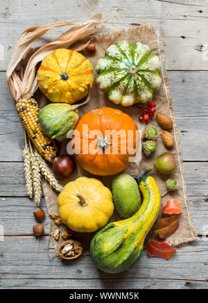 Pumpkins, corn cob, wheat spikes, nuts, acorns, leaves and berries on wooden background Stock Photo