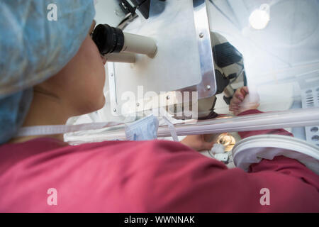 Embryologist adding sperm to egg in laboratory Stock Photo