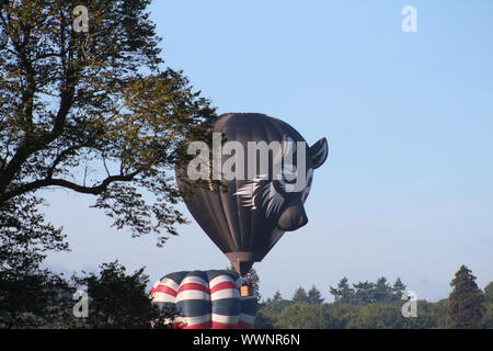 Longleat, Wiltshire, United Kingdom, 15/09/2019, The Sky Safari. Hot Air Balloons soar across the sky. Setting up and testing the burners at day break Stock Photo