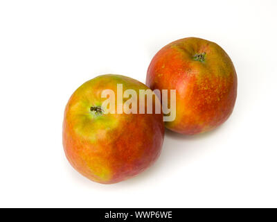 Close-up of two apples, named Holsteiner Cox, isolated on white background. Selective focus. Stock Photo
