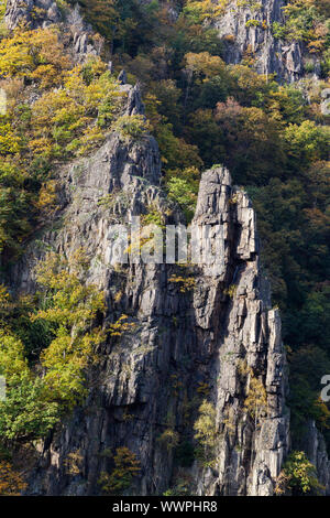 Bodetal gate in autumn resin Stock Photo