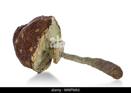 Beautiful toy in the form of mushroom, isolated on white background Stock Photo