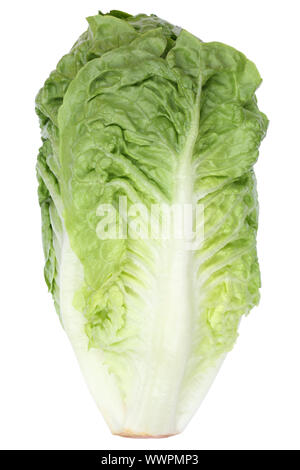 Roman lettuce Romana Romana lettuce lettuce lettuce vegetable exemption