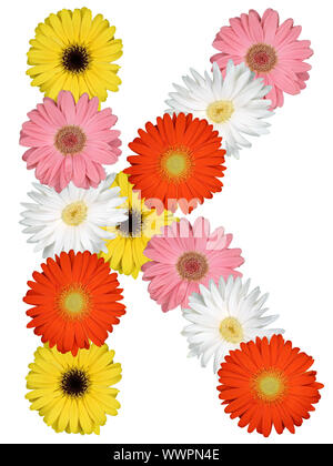 Letter K Alphabet from flowers clipping on white Stock Photo