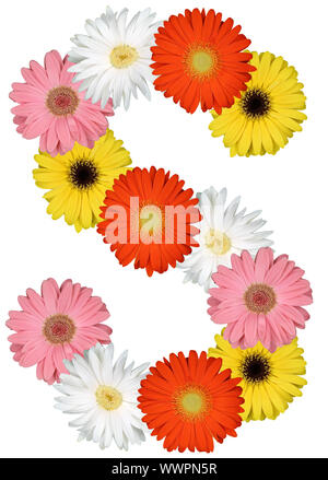 Letter S Alphabet from flowers clipping on white Stock Photo