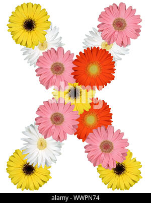 Letter X Alphabet from flowers clipping on white Stock Photo