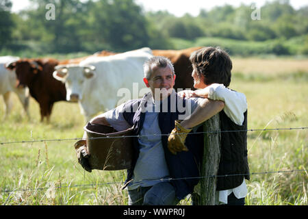 Farmer couple tending to cows Stock Photo