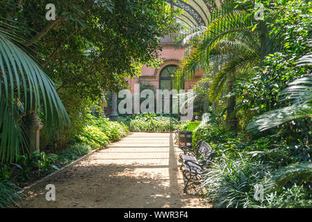 Tropical greenhouse Umbracle in the Parc de la Ciutadella, Barcelona Stock Photo