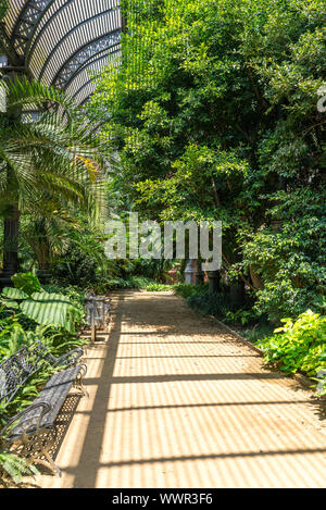 Tropical greenhouse Umbracle in the Parc de la Ciutadella, Barcelona Stock Photo