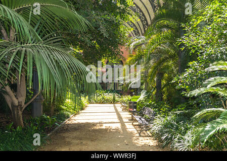 Tropical greenhouse Umbracle in the Parc de la Ciutadella, Barcelona Stock Photo