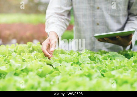 Smart farming using modern technologies in agriculture. Young  agronomist farmer using apps and internet reading report form tablet. Technology and ag Stock Photo