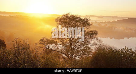 Schlakenmehren maar in autumn at sunrise, Daun, Eifel, Rhineland-Palatinate, Germany, Europe Stock Photo