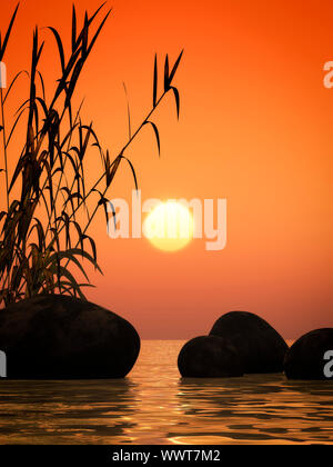 nice ocean sunset image with bamboo and stones Stock Photo