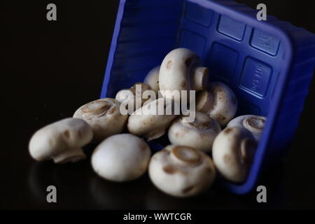 Whole white mushrooms in plastic packaging box on a black background Stock Photo