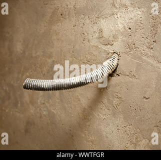 electrical coil conduit pipe on box embedded in wall Stock Photo - Alamy