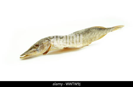 Three sea roach fishes isolated on the white background Stock Photo