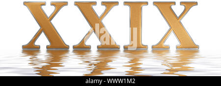 Roman numeral XXIX, novem et viginti, 29, twenty nine, reflected on the water surface, isolated on  white, 3d render Stock Photo