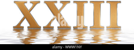 Roman numeral XXIII, tres et viginti, 23, twenty three, reflected on the water surface, isolated on  white, 3d render Stock Photo