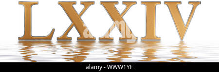 Roman numeral LXXIV, quattuor et septuaginta, 74, seventy four, reflected on the water surface, isolated on  white, 3d render Stock Photo