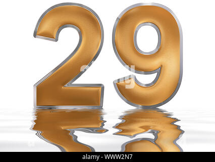 Numeral 29, twenty nine, reflected on the water surface, isolated on  white, 3d render Stock Photo