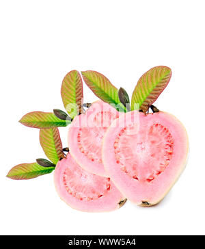 Fresh healthy pink quava fruit with leaves on a pure white background with space for text Stock Photo