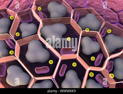 group of living cells under microscope, High quality 3d render of cells, cholesterol in a cells, field of cells, cell structure, the division of human