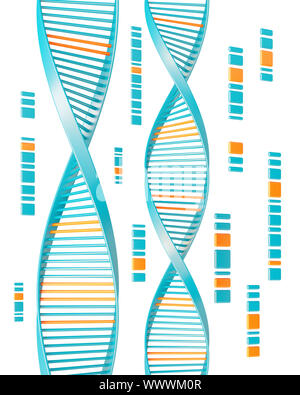 dna isolated on white background Stock Photo