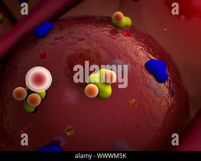 receptors and vein on the cells surface Stock Photo
