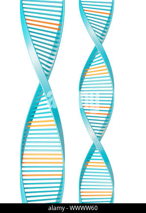 dna isolated on white background Stock Photo