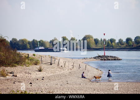 people and cargo ship on Rhine river, Wesel, Ruhr Area, North Rhine-Westphalia, Germany, Europe Stock Photo