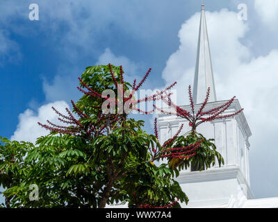 A white painted church in Bermuda against a blue sky with foreground greenery Stock Photo