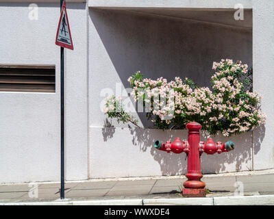 Two sided red roadside fire hydrant on a pavement in Hamilton Bermuda Stock Photo