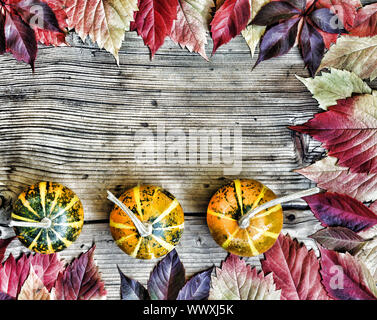 Autumn Concept. Decorative Pumpkin Mushrooms On A Vintage Wooden 