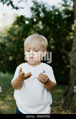Adorable Cute Little Blond Hair, Blue Eyed Kid Boy in White Tee Shirt Playing and Discovering New Things Outside in Nature at the Park in the Summer Stock Photo