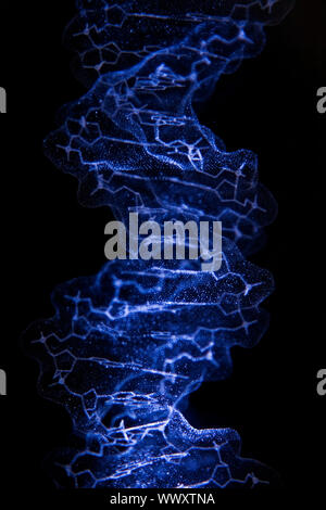 A 3D model of the DNA crystal structure Stock Photo