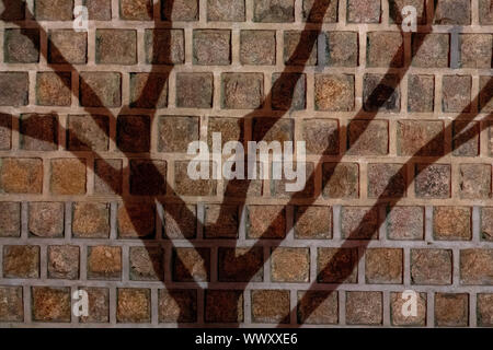 Shadow of a tree cast on a wall at night Stock Photo