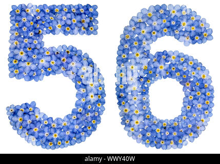 Arabic numeral 56, fifty six, from blue forget-me-not flowers Stock Photo