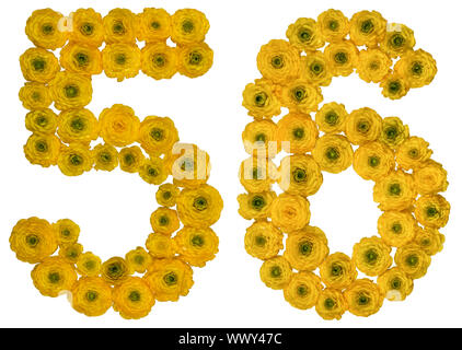 Arabic numeral 56, fifty six, from yellow flowers of buttercup, isolated on white background Stock Photo