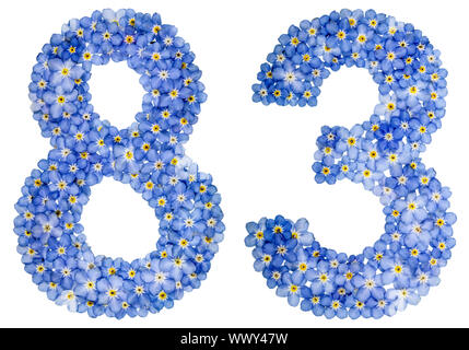 Arabic numeral 83, eighty three, from blue forget-me-not flowers Stock Photo