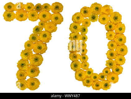 Arabic numeral 70, seventy, seven, from yellow flowers of buttercup, isolated on white background Stock Photo