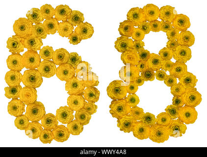 Arabic numeral 68, sixty eight, from yellow flowers of buttercup, isolated on white background Stock Photo