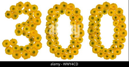 Arabic numeral 300, three hundred, from yellow flowers of buttercup, isolated on white background Stock Photo