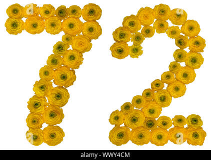 Arabic numeral 72, seventy two, from yellow flowers of buttercup, isolated on white background Stock Photo