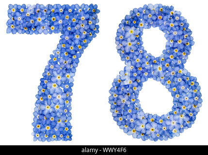 Arabic numeral 78, seventy eight, from blue forget-me-not flowers Stock Photo