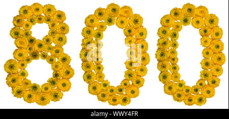 Arabic numeral 800, eight hundred, from yellow flowers of buttercup, isolated on white background Stock Photo
