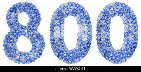Arabic numeral 800, eight hundred, from blue forget-me-not flowers Stock Photo
