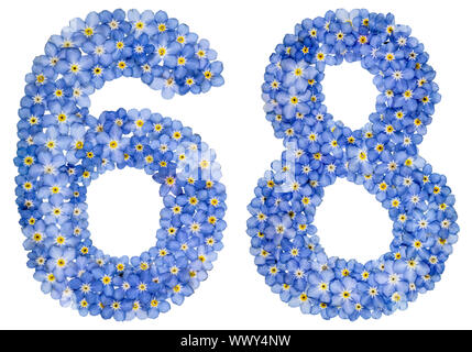 Arabic numeral 68, sixty eight, from blue forget-me-not flowers Stock Photo