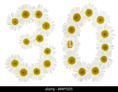 Arabic numeral 30, thirty, from white flowers of chamomile, isolated on white background Stock Photo